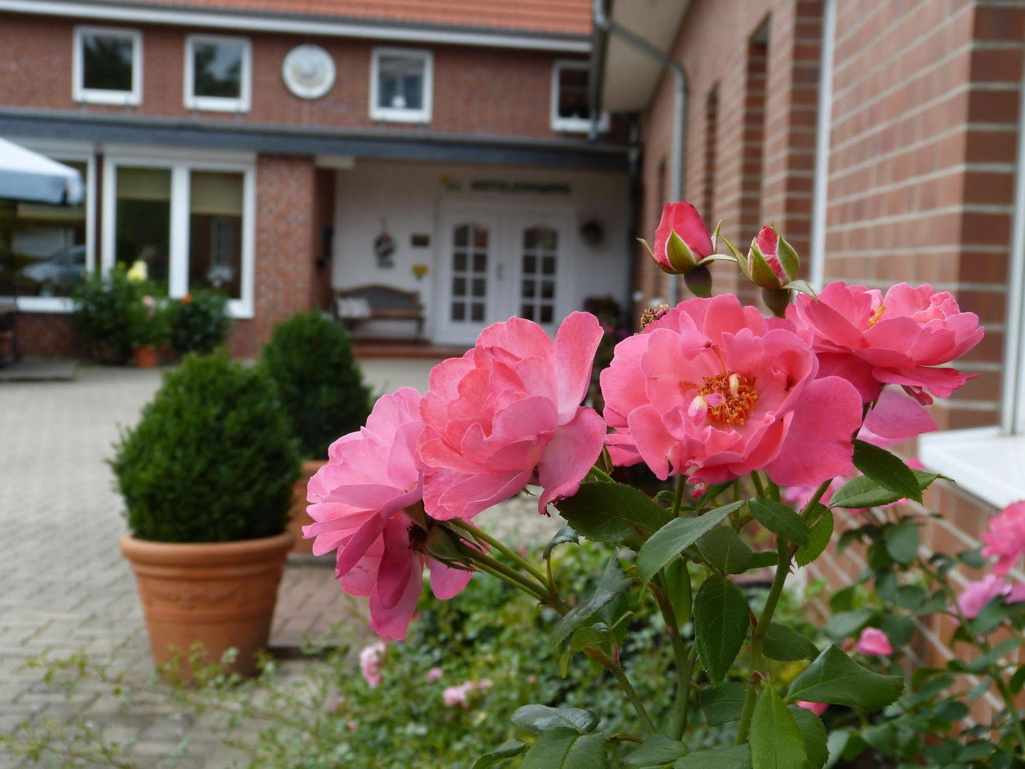 Landhaus Bolzum Sehnde Bagian luar foto